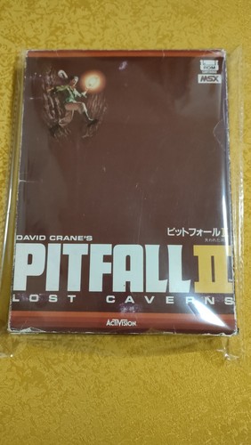 Pitfall lost caverns msx - caverns,